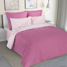Wild Rose