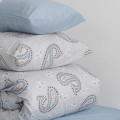 Paisley - 5