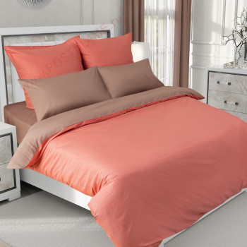 Coral Haze - 1